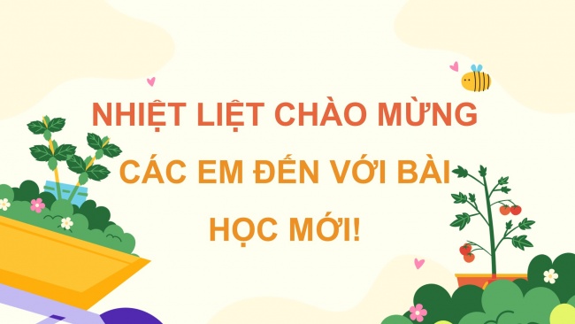 Soạn giáo án điện tử tiếng việt 4 CTST CĐ 3 Bài 5 Đọc: Ai tài giỏi nhất?