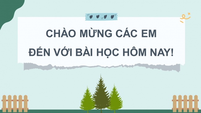 Bài giảng điện tử sinh học 11 kết nối tri thức