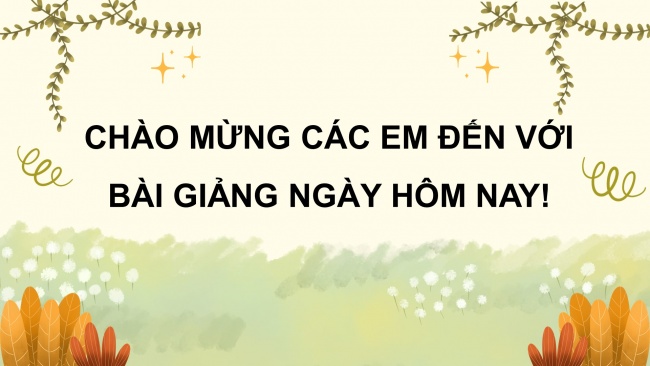 Soạn giáo án điện tử HĐTN 8 KNTT Chủ đề 2 HĐGDTCĐ: Tính cách và cảm xúc của tôi (tiết 1)