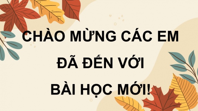 Soạn giáo án điện tử tiếng việt 4 KNTT Bài 17 Tiết : Luyện Từ Và Câu