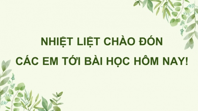 Bài giảng điện tử sinh học 11 chân trời sáng tạo