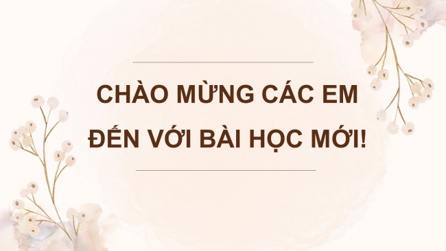 Soạn giáo án điện tử lịch sử và địa lí 4 KNTT bài 13: Văn Miếu- Quốc Tử Giám