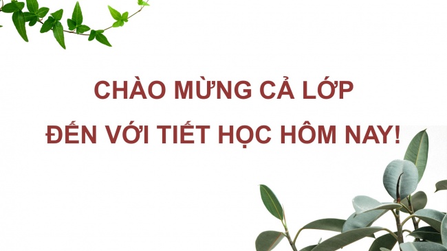 Bài giảng điện tử sinh học 11 cánh diều