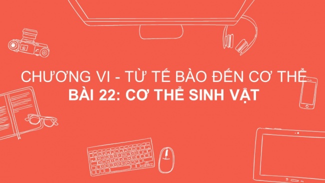 Tải bài giảng điện tử sinh học 6 kết nối tri thức