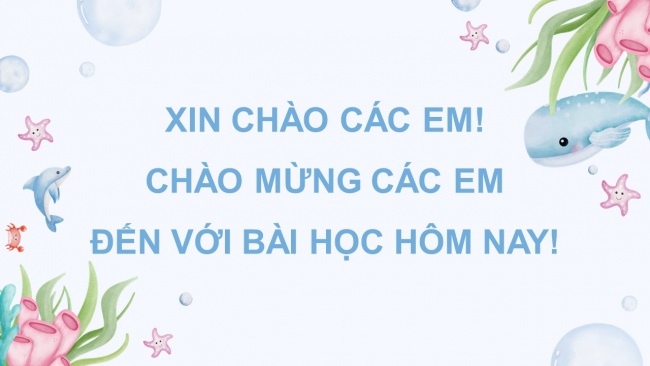 Soạn giáo án điện tử tiếng việt 4 KNTT Bài 1 Viết: Tìm hiểu đoạn văn và câu chủ đề