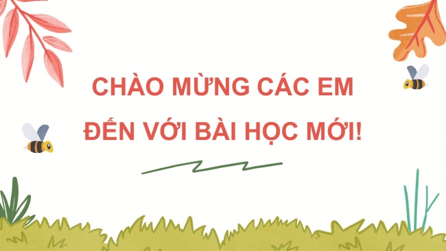 Soạn giáo án điện tử tiếng việt 4 KNTT Bài 16 Đọc mở rộng