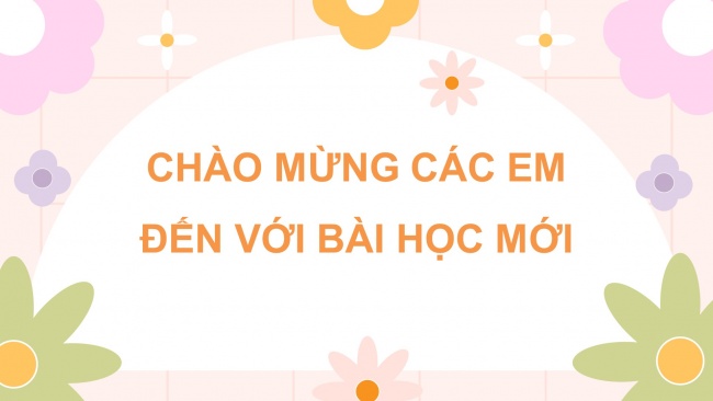 Soạn giáo án điện tử công nghệ 4 KNTT bài 3: Vật liệu và dụng cụ trồng hoa, cây cảnh trong