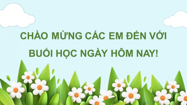 Soạn giáo án điện tử tin học 4 KNTT bài 3: Thông tin trên trang web