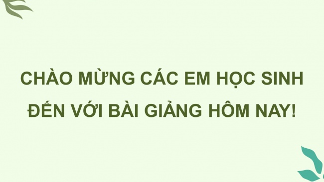 Soạn giáo án điện tử hoạt động trải nghiệm 4 KNTT Tuần 6 HĐGDTCĐ: Kĩ năng đặt câu hỏi để tìm hiểu thông tin