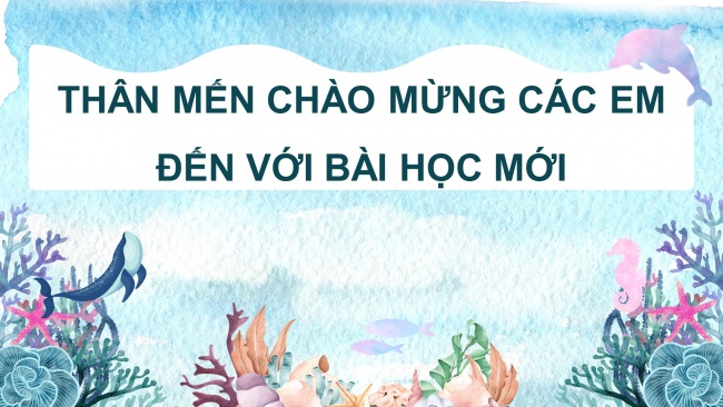 Soạn giáo án điện tử toán 4 CTST Bài 21: Mét vuông