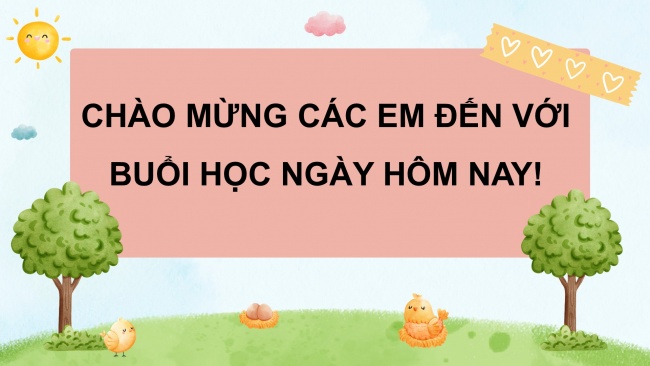 Soạn giáo án điện tử công nghệ 4 CTST Bài 4: Trồng cây cảnh trong chậu