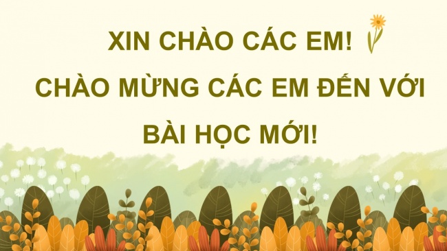 Soạn giáo án điện tử công nghệ 4 CTST Bài 5: Chăm sóc hoa, cây cảnh trong chậu