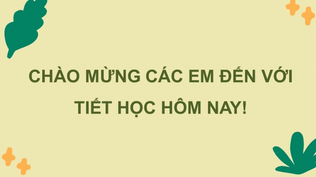 Soạn giáo án điện tử HĐTN 4 CTST bản 1 Chủ đề 8 Tuần 29: HĐGDTCĐ - Hoạt động 4, 5