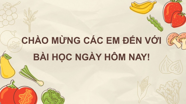 Soạn giáo án điện tử mĩ thuật 4 CTST bản 1 Bài 3: Món ăn truyền thống