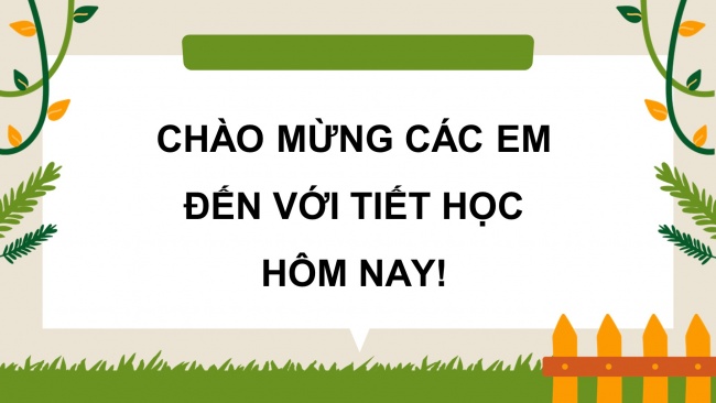 Bài giảng điện tử công nghệ 4 kết nối tri thức