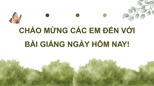 Soạn giáo án điện tử mĩ thuật 4 CTST bản 2 Bài 15: Văn hoá tham gia giao thông