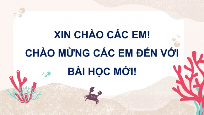 Soạn giáo án điện tử tin học 4 cánh diều Chủ đề B Bài 2: Tác hại của việc xem những trang web không phù hợp với lứa tuổi