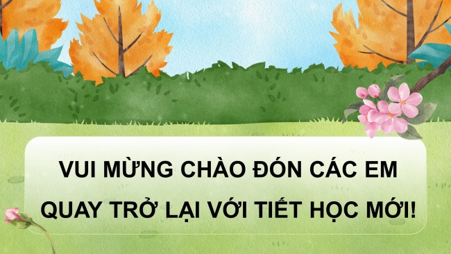 Soạn giáo án điện tử tin học 4 cánh diều Chủ đề C1 Bài 2: Em tập tìm thông tin trên Internet