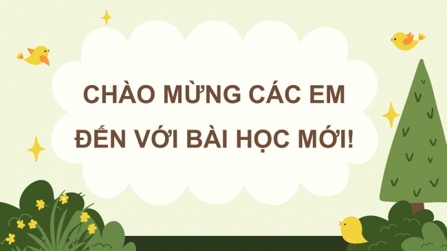 Soạn giáo án điện tử công nghệ 4 cánh diều Bài 3: Một số loại cây cảnh phổ biến