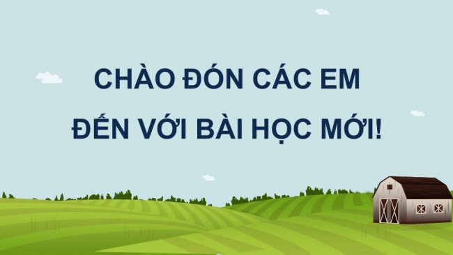 Soạn giáo án điện tử Công nghệ chăn nuôi 11 KNTT Bài 2: Vật nuôi và phương thức chăn nuôi