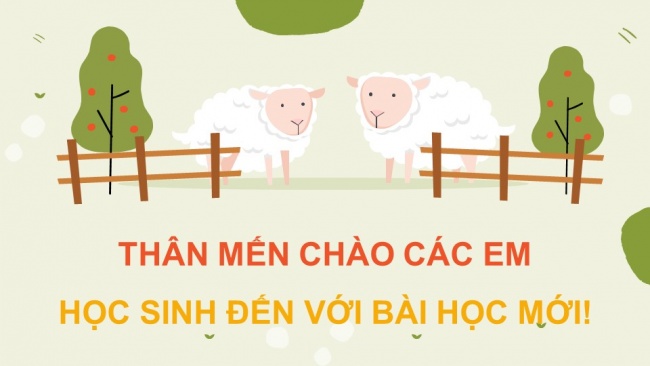 Soạn giáo án điện tử Công nghệ chăn nuôi 11 KNTT Bài 4: Chọn giống vật nuôi