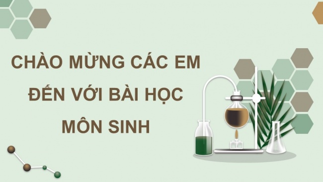 Soạn giáo án điện tử sinh học 11 KNTT Bài 6: Hô hấp ở thực vật (P1)