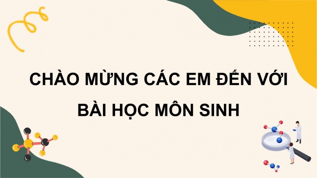 Bài giảng điện tử sinh học 8 cánh diều