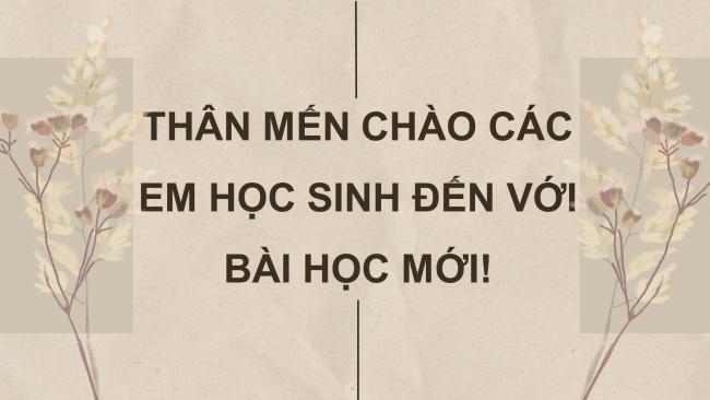 Soạn giáo án điện tử Ngữ văn 8 KNTT Bài 1 TH tiếng Việt: Từ ngữ địa phương