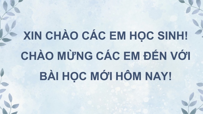 Soạn giáo án điện tử Ngữ văn 8 CD Bài 1 Đọc 2: Gió lạnh đầu mùa