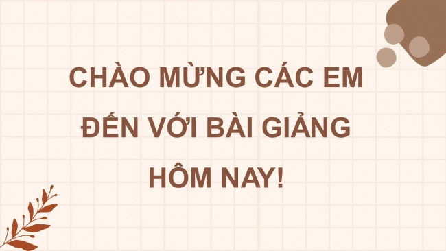 Soạn giáo án điện tử Ngữ văn 8 CD Bài 2 TH tiếng Việt: Sắc thái nghĩa của từ ngữ