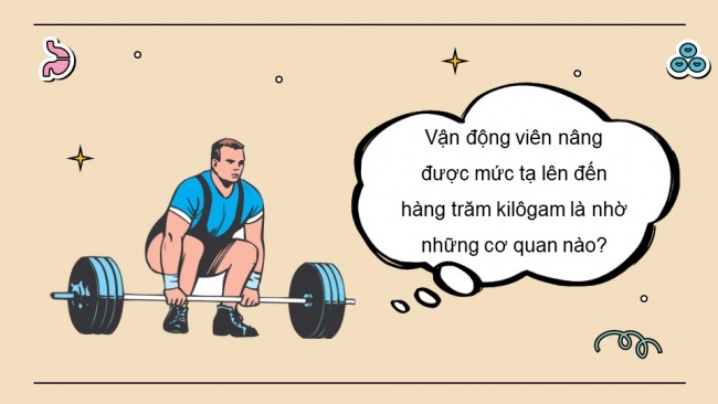 Soạn giáo án điện tử KHTN 8 CD Bài 28: Hệ vận động ở người