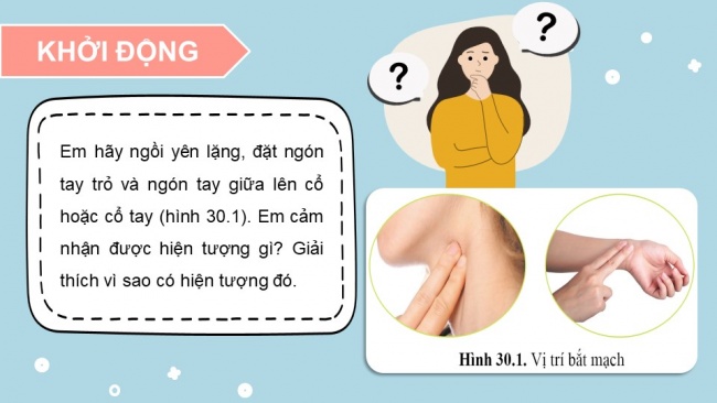 Soạn giáo án điện tử KHTN 8 CD Bài 30: Máu và hệ tuần hoàn ở người