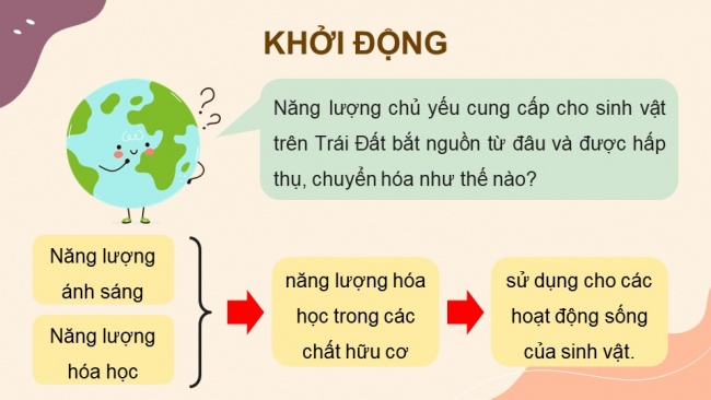 Soạn giáo án điện tử sinh học 11 Cánh diều Bài 1: Khái quát về trao đổi chất và chuyển hoá năng lượng