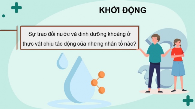 Soạn giáo án điện tử sinh học 11 Cánh diều  Bài 3: Các nhân tố ảnh hưởng đến trao đổi nước và khoáng ở thực vật