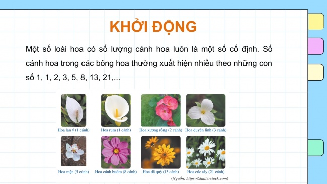 Soạn giáo án điện tử toán 11 Cánh diều Bài 1: Dãy số