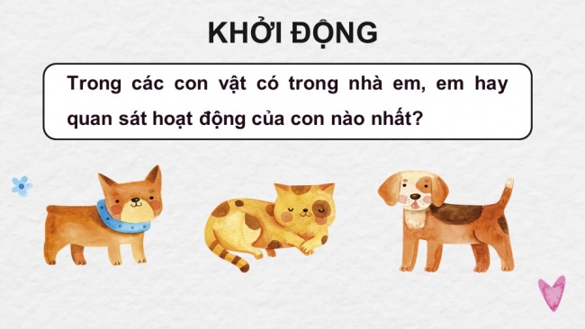 Soạn giáo án điện tử tiếng việt 4 KNTT Bài 28 Viết Lập dàn ý cho bài văn miêu tả con vật