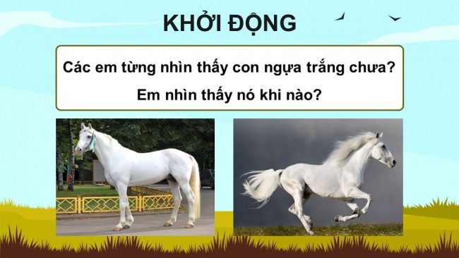 Soạn giáo án điện tử tiếng việt 4 KNTT Bài 30 Nói và nghe Kể chuyện đôi cánh của Ngựa trắng