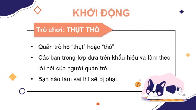 Soạn giáo án điện tử tiếng việt 4 KNTT Bài 29: Viết bài văn miêu tả con vật