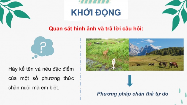 Bài giảng điện tử công nghệ chăn nuôi 11 cánh diều