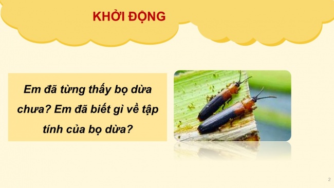 Soạn giáo án điện tử ngữ văn 6 CTST bài 4: văn bản 2: giọt sương đêm