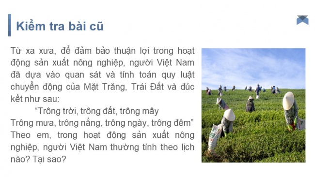 Tải bài giảng điện tử lịch sử 6 kết nối tri thức