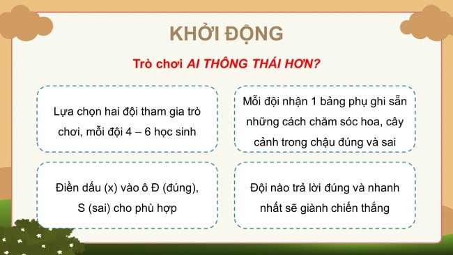 Soạn giáo án điện tử công nghệ 4 KNTT bài 6: Chăm sóc hoa, cây cảnh trong chậu