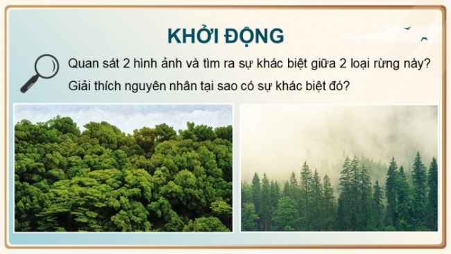 Soạn giáo án điện tử Địa lí 8 CTST Bài 3: Ảnh hưởng của địa hình đối với sự phân hoá tự nhiên và khai thác kinh tế