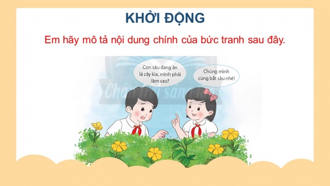 Soạn giáo án điện tử công nghệ 4 CTST Bài 5: Chăm sóc hoa, cây cảnh trong chậu