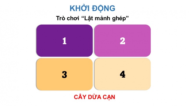 Soạn giáo án điện tử công nghệ 4 CTST : Ôn tập Phần 1