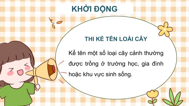 Soạn giáo án điện tử công nghệ 4 cánh diều Bài 3: Một số loại cây cảnh phổ biến