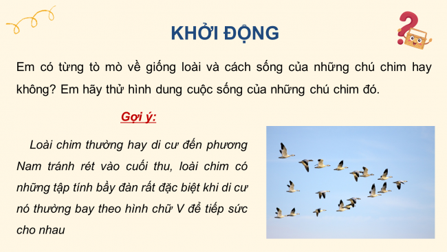 Soạn giáo án điện tử Ngữ văn 8 CTST Bài 2 Đọc 4: Những điều bí ẩn trong tập tính di cư của các loài chim