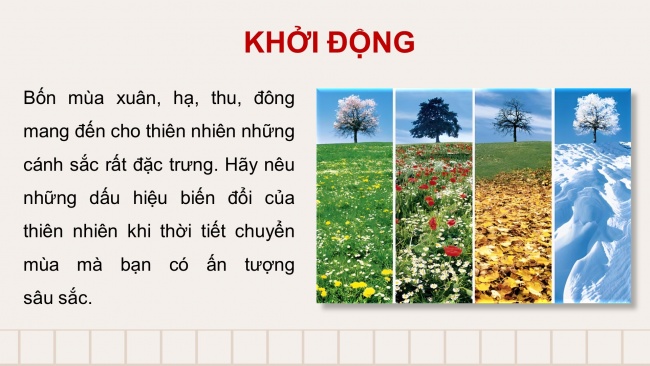 Soạn giáo án điện tử ngữ văn 11 CTST Bài 1 Đọc 2: Cõi lá