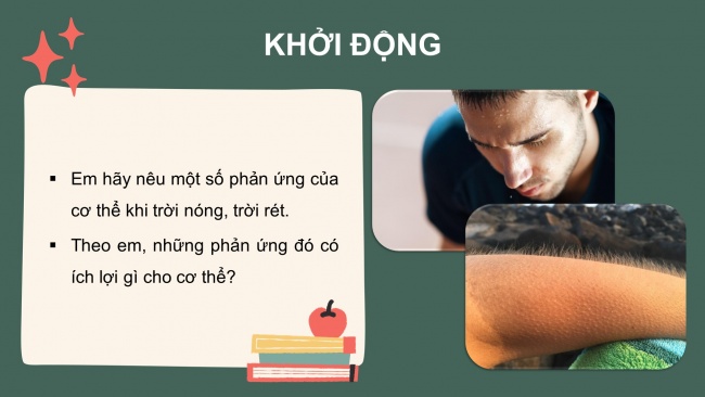 Bài giảng điện tử sinh học 8 cánh diều