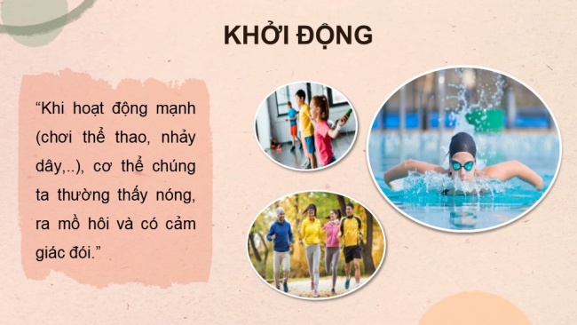 Soạn giáo án điện tử sinh học 11 CTST Bài 1: Khái quát về trao đổi chất và chuyển hoá năng lượng ở sinh vật